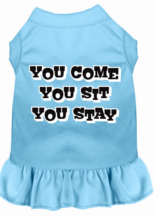 You Come, You Sit, You Stay Screen Print Dress Baby Blue Med